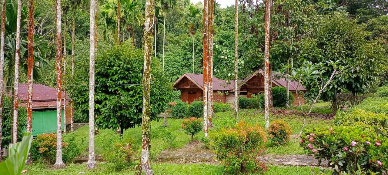 Green Lodge Tangkahan Εξωτερικό φωτογραφία