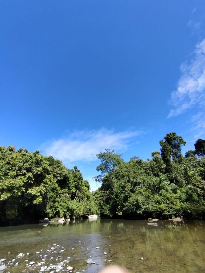 Green Lodge Tangkahan Εξωτερικό φωτογραφία