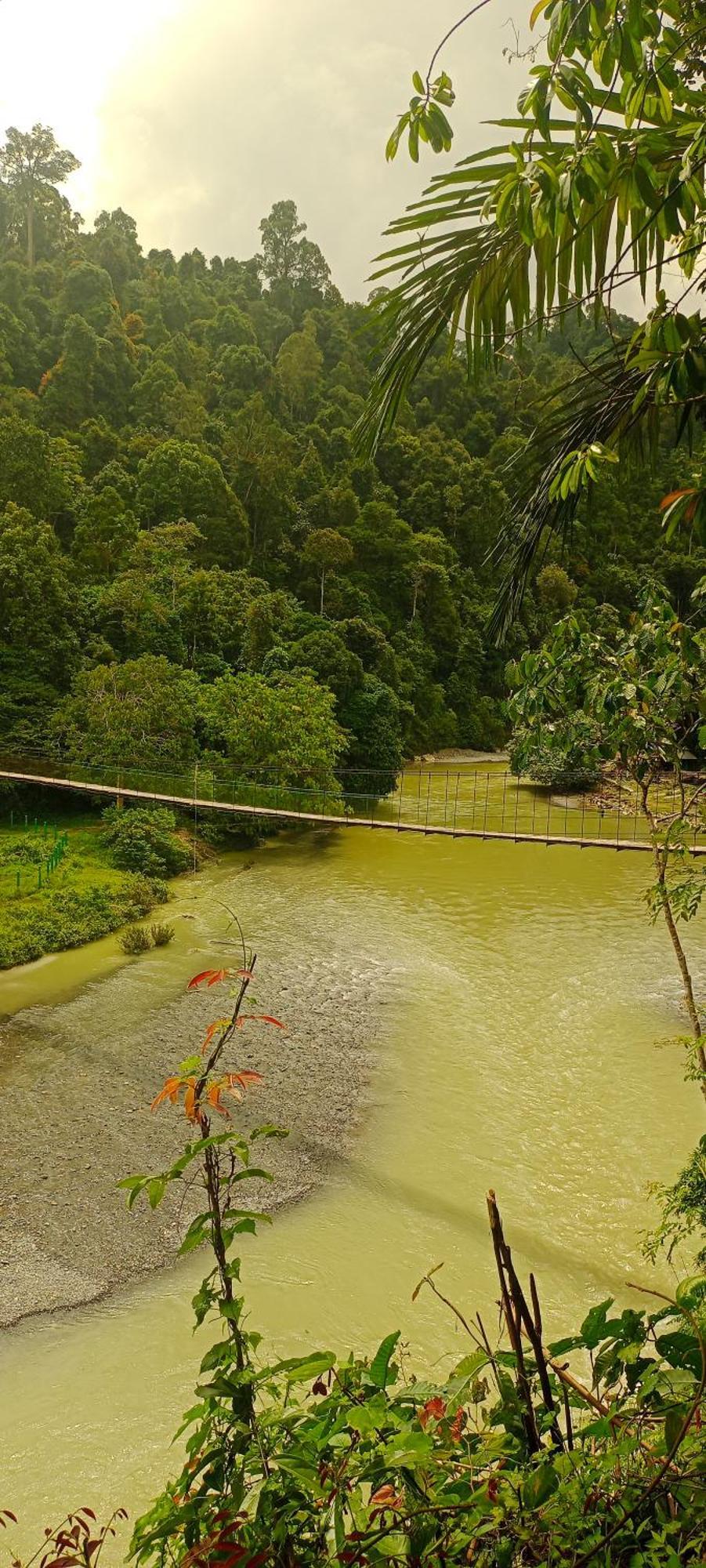 Green Lodge Tangkahan Εξωτερικό φωτογραφία