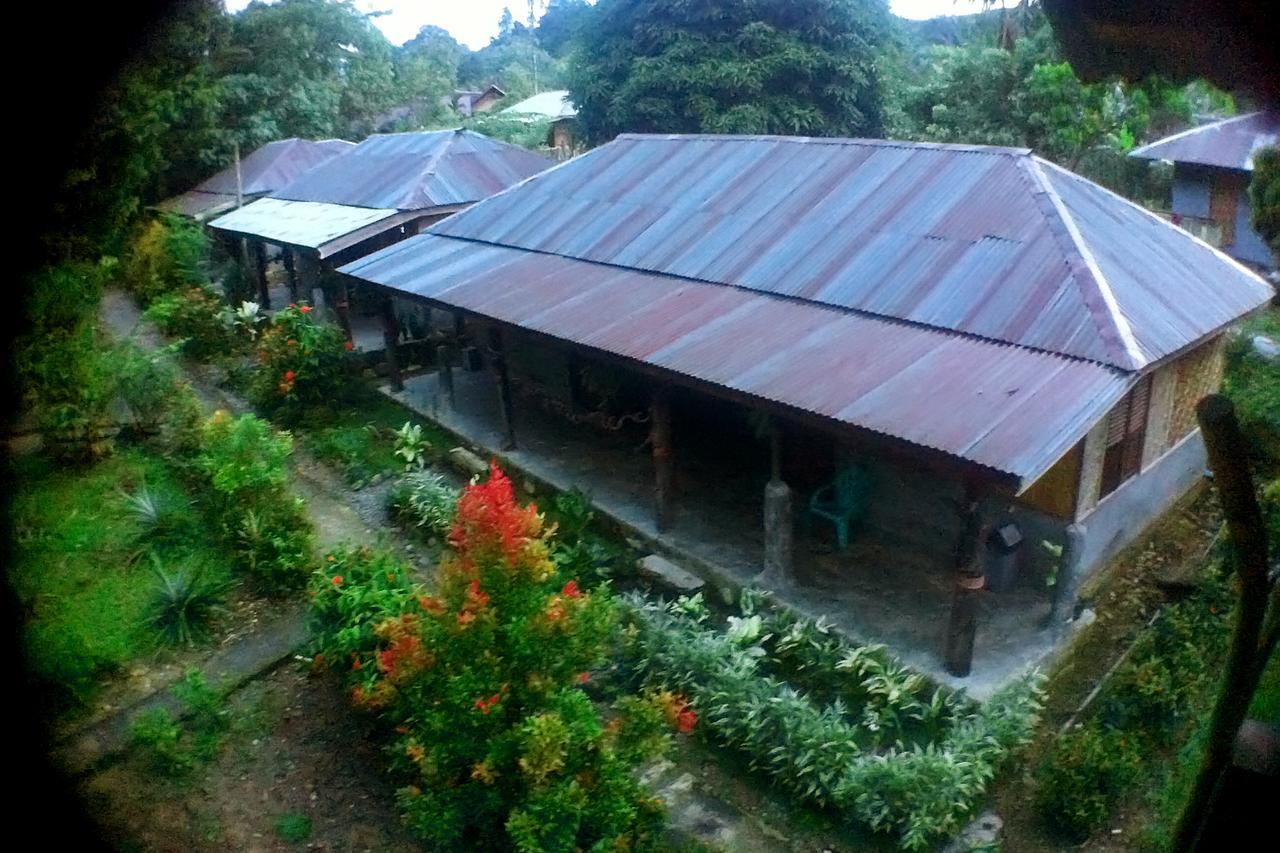 Green Lodge Tangkahan Εξωτερικό φωτογραφία