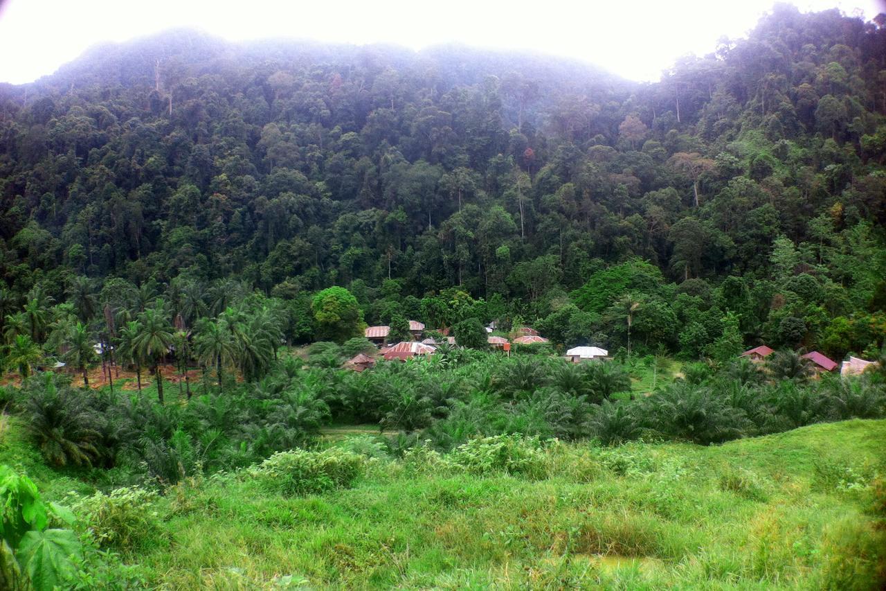 Green Lodge Tangkahan Εξωτερικό φωτογραφία
