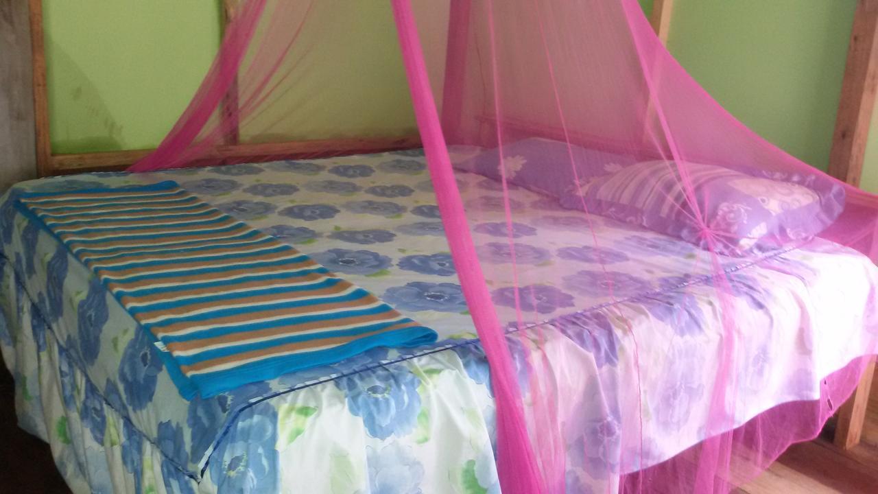 Green Lodge Tangkahan Εξωτερικό φωτογραφία