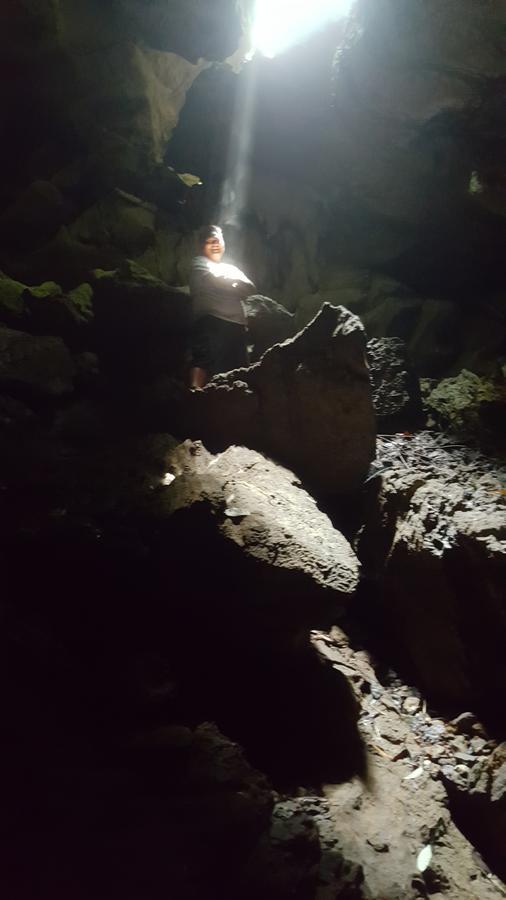 Green Lodge Tangkahan Εξωτερικό φωτογραφία