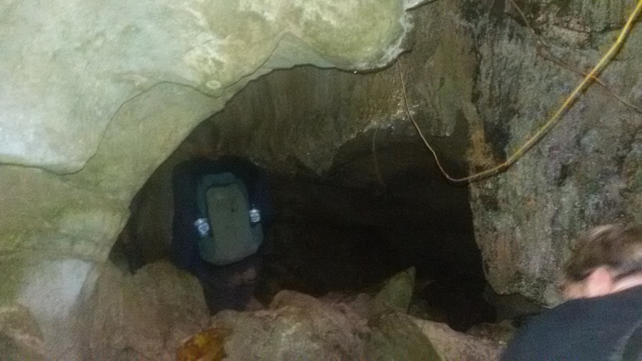 Green Lodge Tangkahan Εξωτερικό φωτογραφία