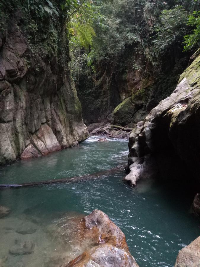 Green Lodge Tangkahan Εξωτερικό φωτογραφία