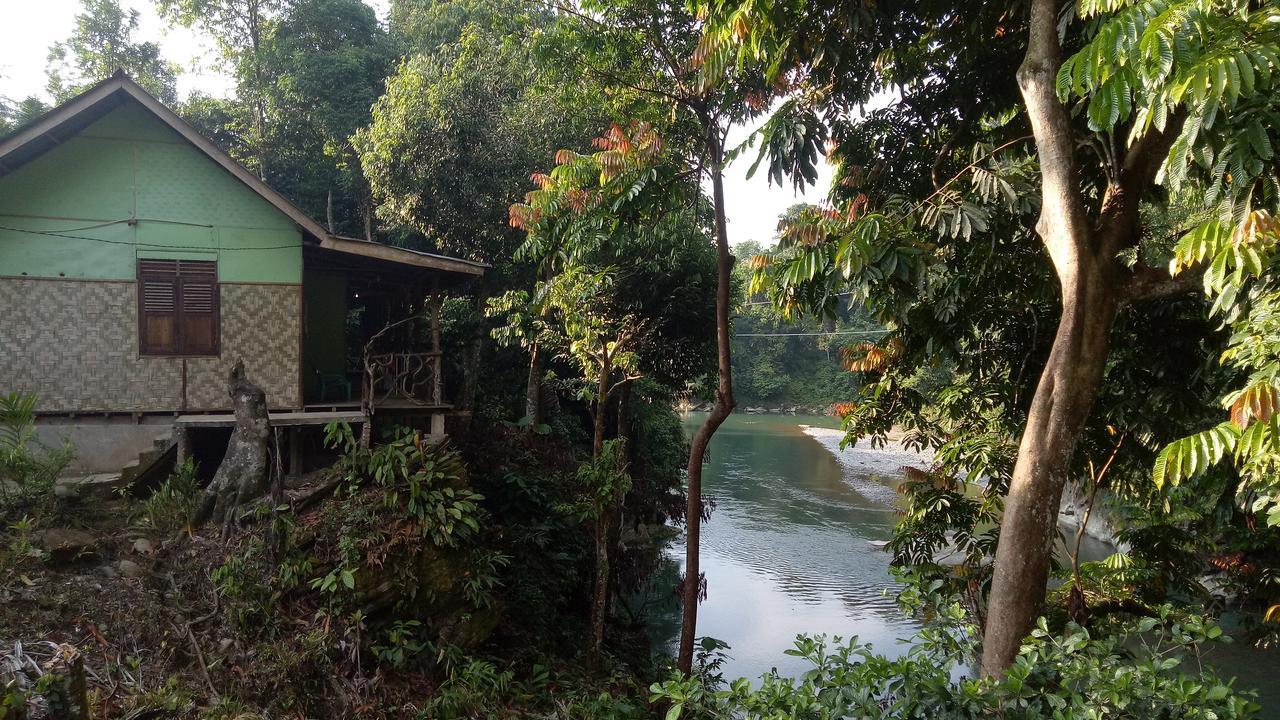 Green Lodge Tangkahan Εξωτερικό φωτογραφία