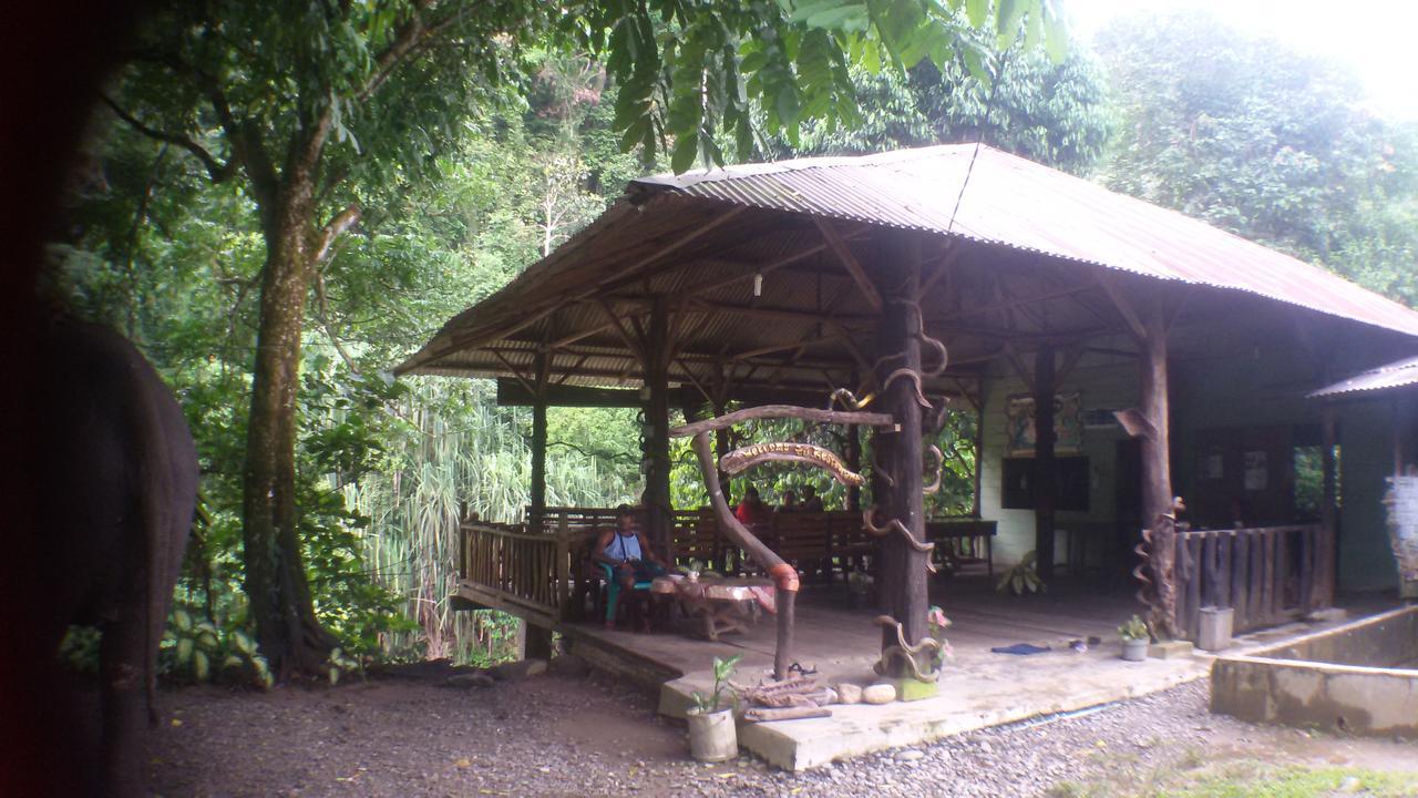 Green Lodge Tangkahan Εξωτερικό φωτογραφία