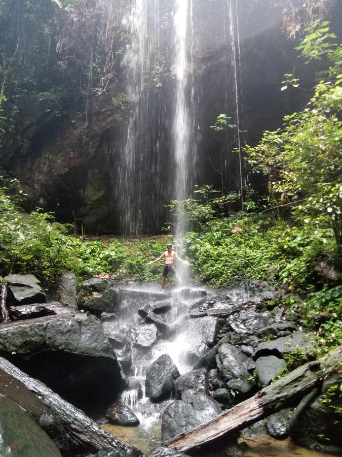 Green Lodge Tangkahan Εξωτερικό φωτογραφία