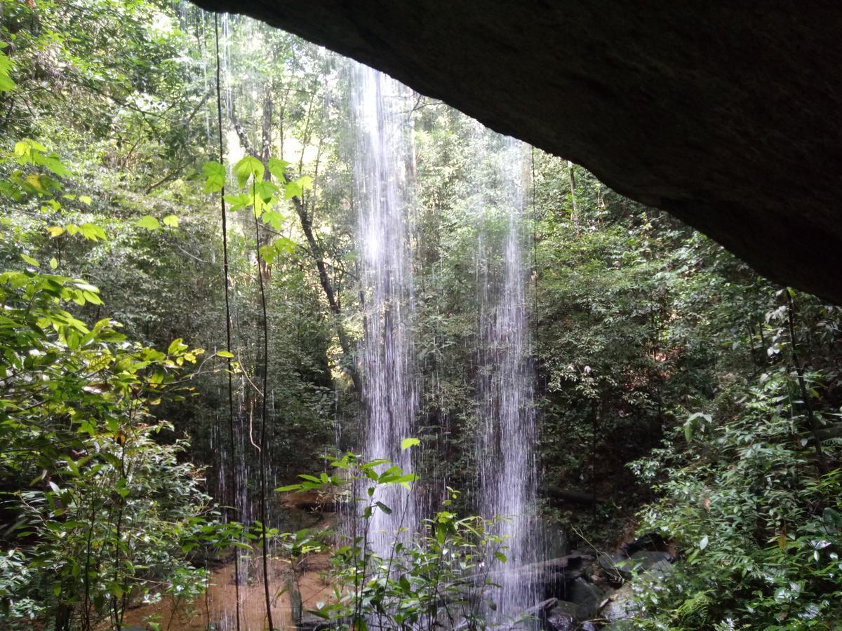 Green Lodge Tangkahan Εξωτερικό φωτογραφία