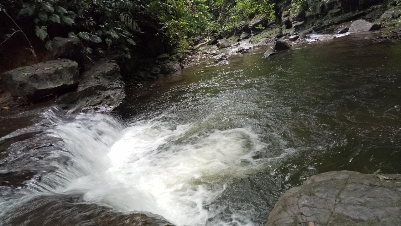 Green Lodge Tangkahan Εξωτερικό φωτογραφία